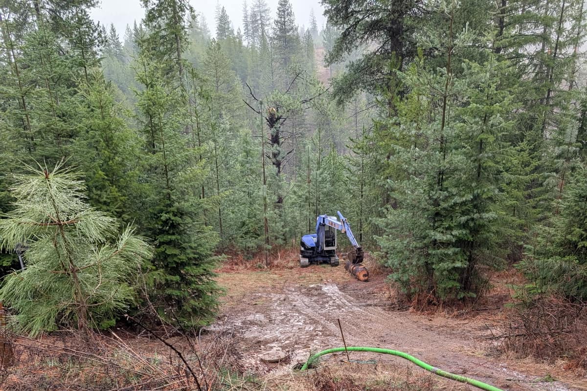 Septic work on a wooded North Idaho property with excavator and hoses